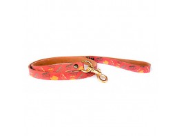 Imagen del producto Petuky collar ubrique diseño whiskers m 2x120c