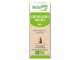 Imagen del producto Herbalgem  grosellero negro bio 15ml